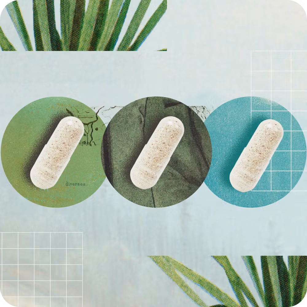 Assorted magnesium supplements during the magnesium types explainer article.